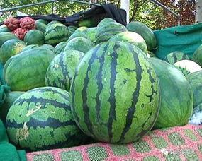 网瓜放时间长会吃吗